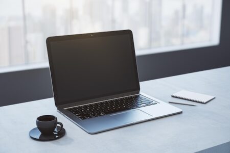 laptoaap lifespan